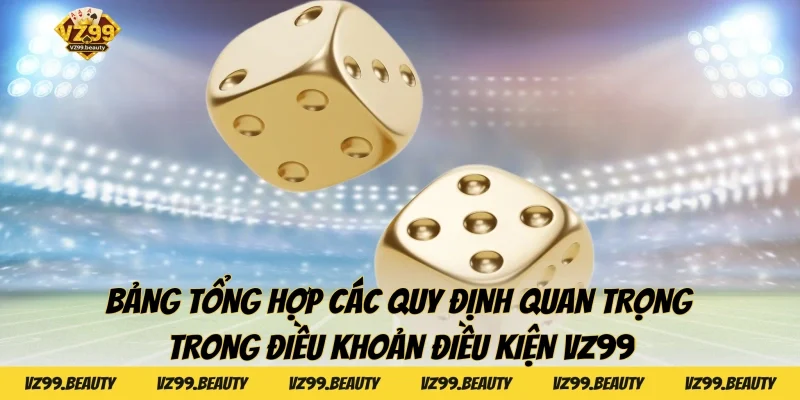 Bảng tổng hợp các quy định quan trọng trong điều khoản điều kiện VZ99