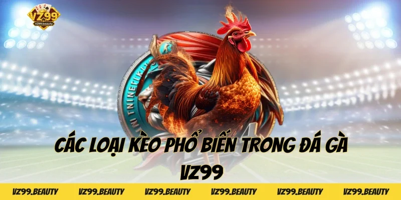Các loại kèo phổ biến trong Đá Gà VZ99