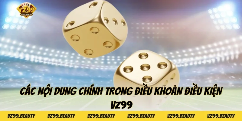 Các nội dung chính trong điều khoản điều kiện VZ99