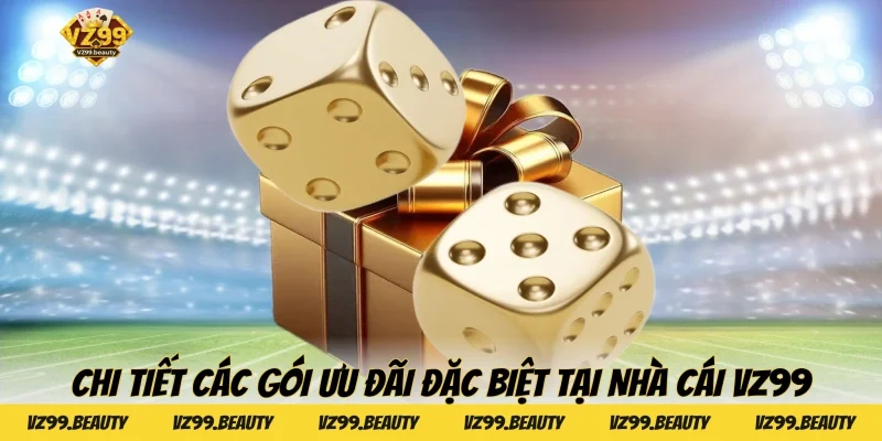 Chi tiết các gói ưu đãi đặc biệt tại nhà cái VZ99