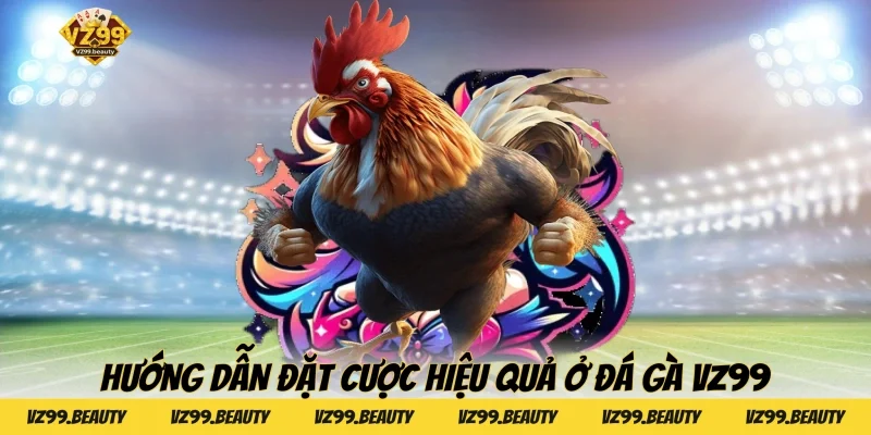 Hướng dẫn đặt cược hiệu quả ở Đá Gà VZ99