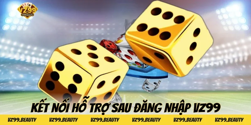 Kết nối hỗ trợ sau đăng nhập VZ99