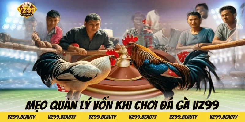 Mẹo quản lý vốn khi chơi Đá Gà VZ99