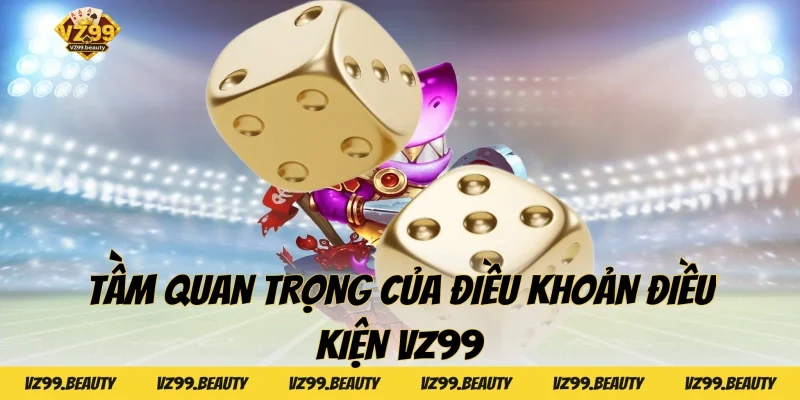 Tầm quan trọng của điều khoản điều kiện VZ99
