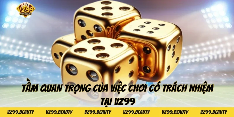 Tầm quan trọng của việc Chơi có trách nhiệm tại VZ99